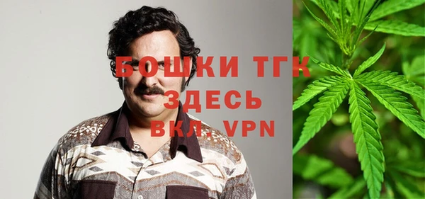 шишки Ельня