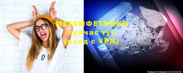 шишки Ельня