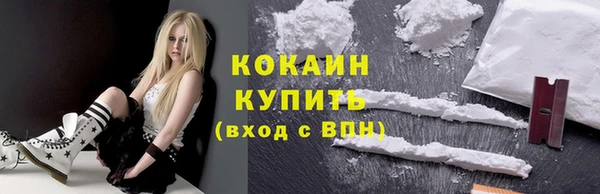 шишки Ельня