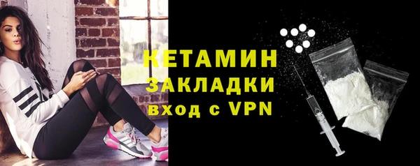 шишки Ельня