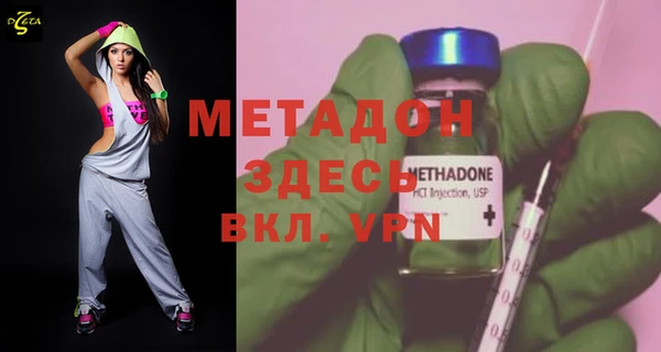 шишки Ельня