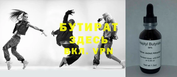 шишки Ельня