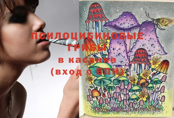 шишки Ельня