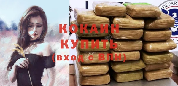 шишки Ельня