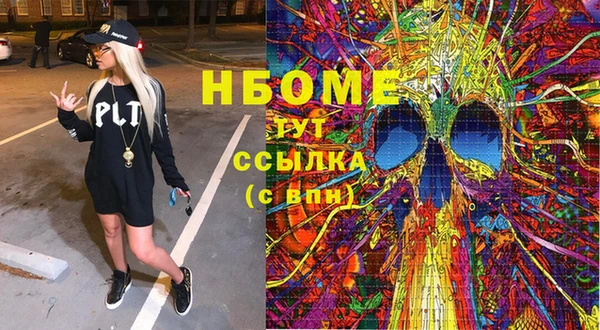 шишки Ельня