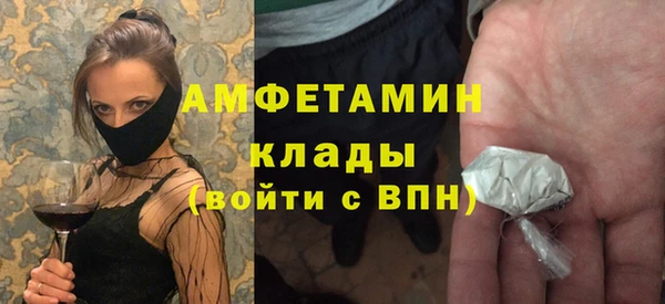 шишки Ельня