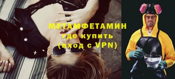 шишки Ельня