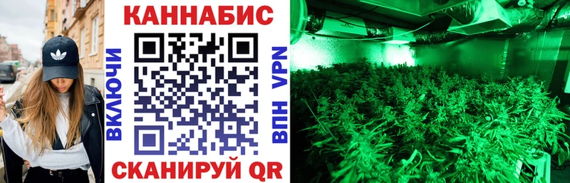 Купить  Карабаново  Бошки Шишки планчик 
