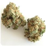 Шишки "White Widow"  (Белая вдова)  Гидропоника -  Бошка VHQ в Карабаново